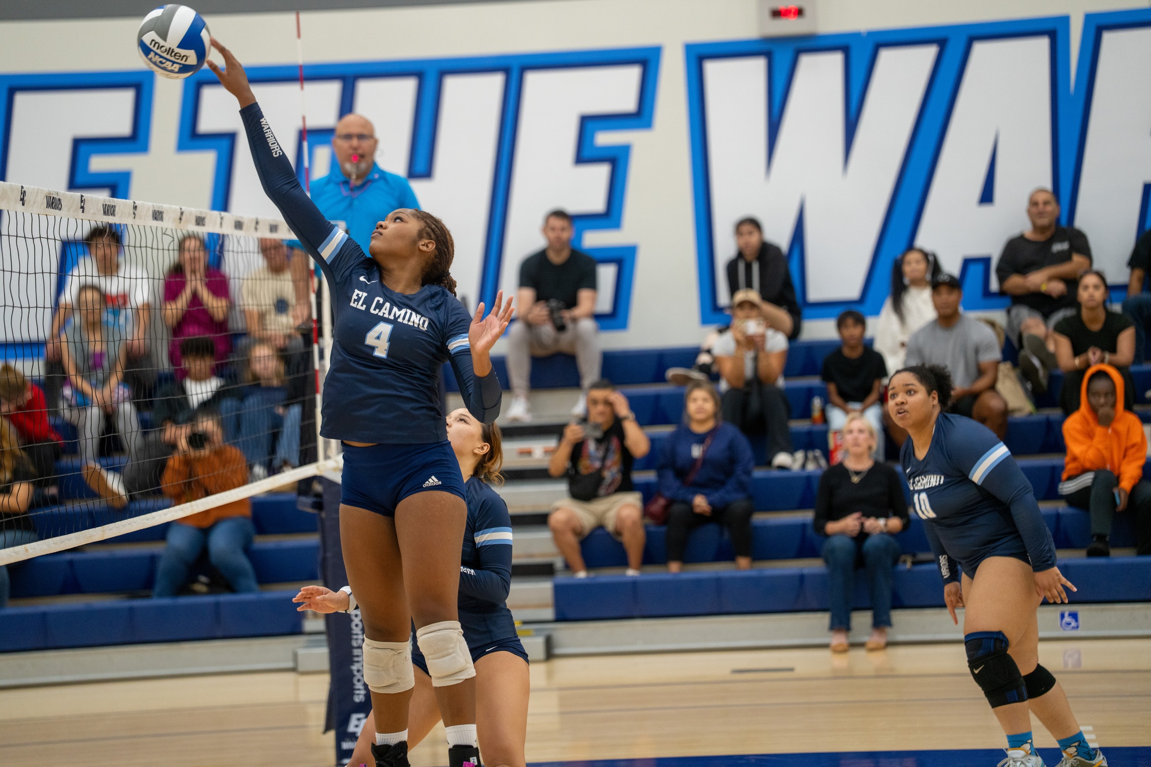 Looney Named CCCWVCA State Player of the Week